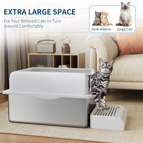 Stainless steel cat - steel, litter