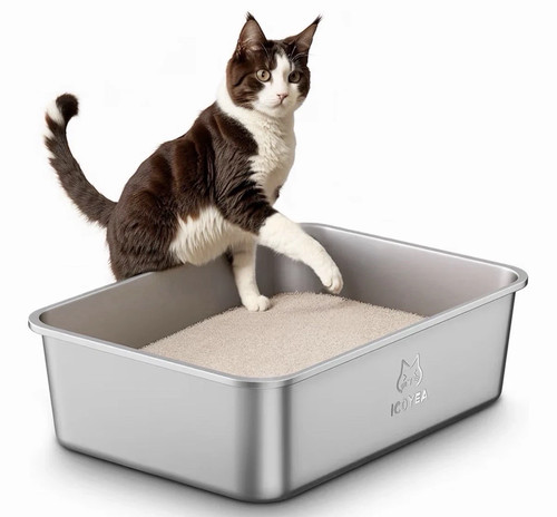 Icoyea stainless steel cat - stainless,