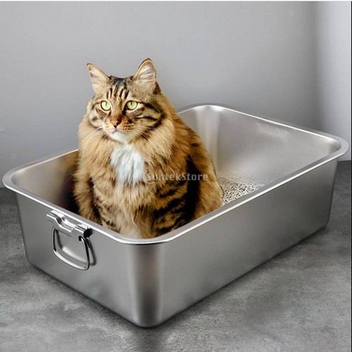 Cats litter toilet - cats,