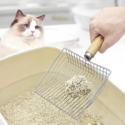 Stainless steel cat litter - cat,
