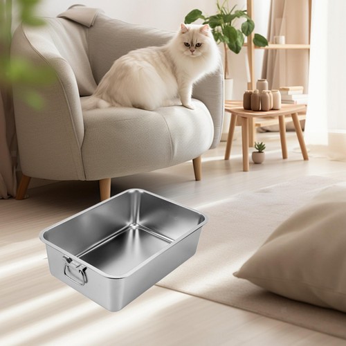 Cat litter sand - litter,