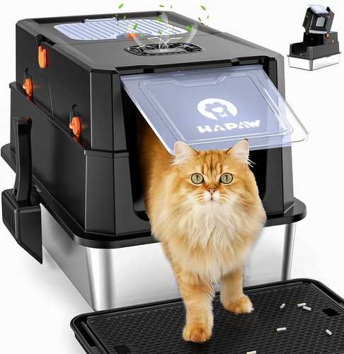 Hapaw stainless steel cat - hapaw,