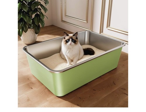 Icoyea stainless steel cat - icoyea,